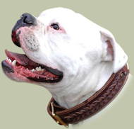 American Bulldog Handcrafted Braided Leather Dog Collar American Bulldog Handcrafted Braided Leather Dog Collar