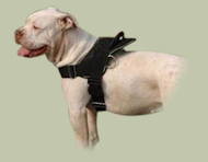 American Bulldog Nylon multi-purpose dog harness American Bulldog Nylon multi-purpose dog harness