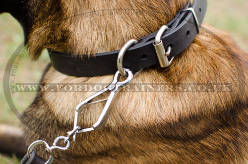 best leather dog collar for Belgian Shepherd