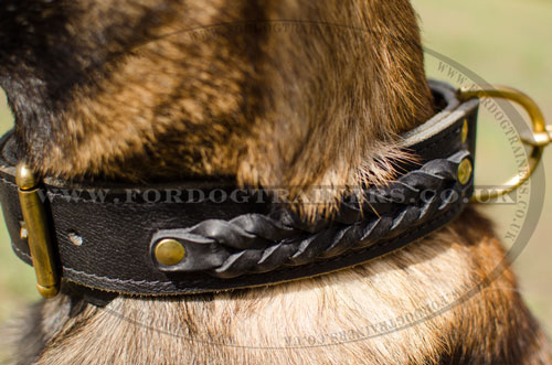 strong dog collar for Belgian Shepherd UK