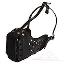 Agitation dog muzzle