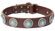 Fancy Leather Dog Collar with Blue Stones Fancy Leather Dog Collar with Blue Stones