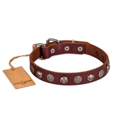 Adorned Brown Leather Dog Collar With ID Plate For Daily Walking