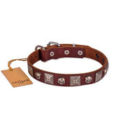 Brown Studded Dog Collar | Leather Dog Collar Metal Buckle FDT Artisan