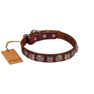 Brown Leather Dog ID Collar | Studded Buckle Dog Collar FDT Artisan