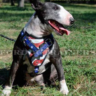Bull Terrier Dog Harness | Dog Harness with Handle