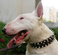 Leather Spiked and Studded Collar 3 Rows Leather Spiked and Studded Collar 3 Rows