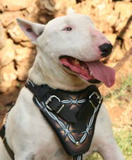 "Barbed Wire" Hand painted unique Leather Dog Harness "Barbed Wire" Hand painted unique Leather Dog Harness
