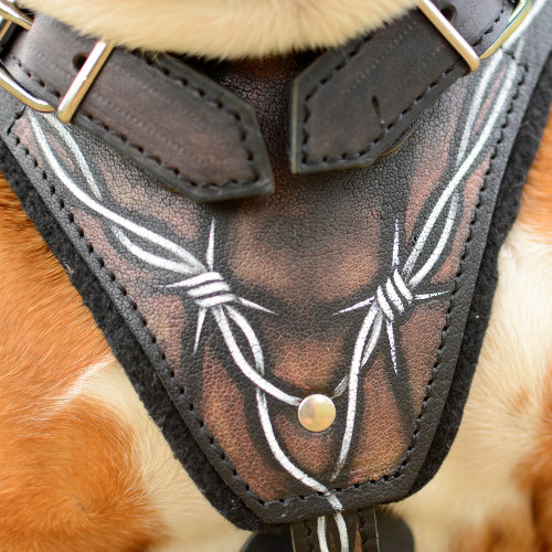 English Bulldog Harness with NEW Painted Design "Barbed Wire"