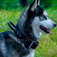 Husky Dog Collar with Control Handle