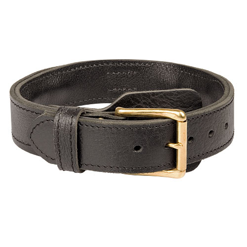 leather dog collar brass fittings