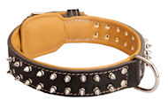 Leather dog collar for large dogs for sale, with nickel spikes