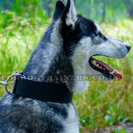 Extra Wide 2 Inch Leather Dog Collar with Buckle for Siberian Husky