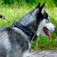 Braided 2 Ply Leather Dog Collar for Siberian Husky