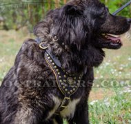 Handcrafted Large Studded Dog Harness for Caucasian Shepherd