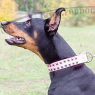 Hundehalsband aus rosa Leder mit Schmuck aus Nickel Hundehalsband aus rosa Leder mit Schmuck aus Nickel