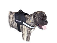 Bullmastiff Reflektierendes Allwetter-Hundegeschirr aus Nylon Bullmastiff Reflektierendes Allwetter-Hundegeschirr aus Nylon
