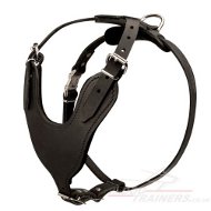 Dog Training Harness for Middle and Large Dog Breeds