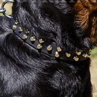 Quality Leather Collar with Pyramids for German Rottweiler