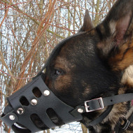 Leather Dog Muzzle UK "Everyday" style for German Shepherd