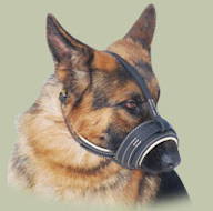 German Shepherd Nappa padded Royal Leather Dog Muzzle UK