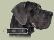 Royal Nappa Padded Handmade Leather Dog Collar for Great Dane