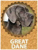 Great Dane