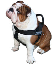 English Bulldog nylon dog harness - Better control of your dog