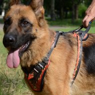 Designer Harness for German Shepherd "Flame"