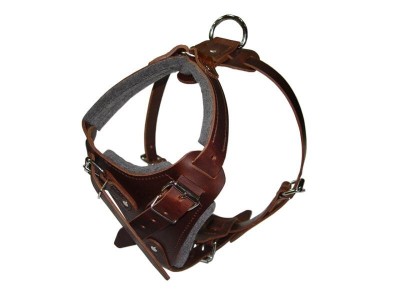Agitation leather dog harness