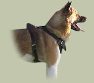 Agitation/Protection Leather Dog Harness for Husky Agitation/Protection Leather Dog Harness for Husky