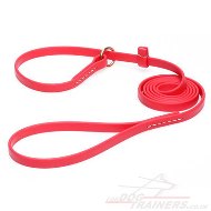 Red Dog Collar and Leash 2 in 1 Combo Choker with Handle