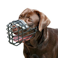 Wire Dog Muzzle for Labrador Rubberized | Winter Training Muzzle