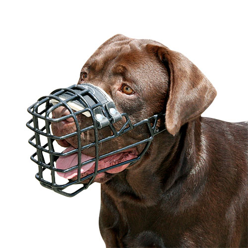 Wire Dog Muzzle for Labrador Rubberized | Winter Training Muzzle - Click Image to Close