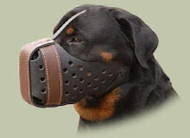 Leather Dog Muzzle "Dondi plus" for Rottweiler Leather Dog Muzzle "Dondi plus" for Rottweiler