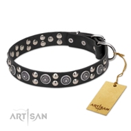 Best Quality Leather Dog Collar With Silver-Like Studs FDT Artisan