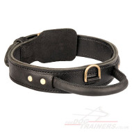 Strong 2 Ply Leather Dog Collar with Handle