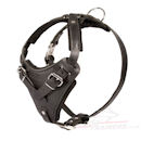 agitation leather dog harness