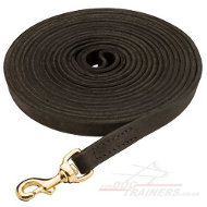 Leather Lead for Dog Training