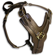 Luxury Padded Leather Dog Harness, UK Bestseller! Luxury Padded Leather Dog Harness, UK Bestseller!