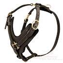 Luxury dog harness