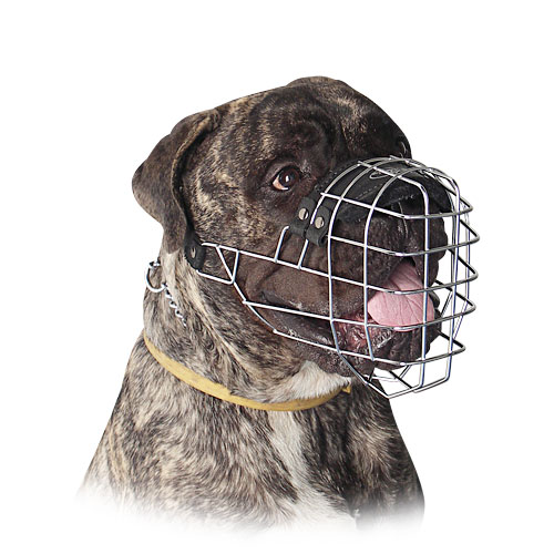 Bullmastiff Muzzle Best Design of Wire Basket Dog Muzzles UK - Click Image to Close
