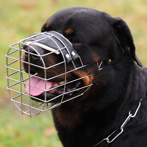 The Best Dog Muzzle for RottweilerMuzzle Size
