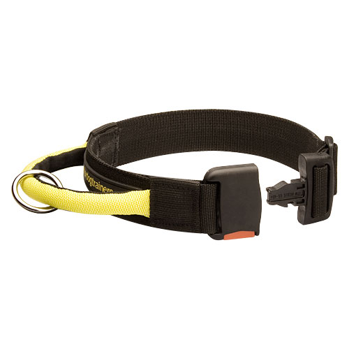 nylon dog collar