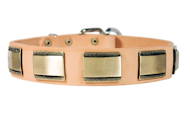 Gorgeous New Design Leather Dog Collar Brass Plates Gorgeous New Design Leather Dog Collar Brass Plates
