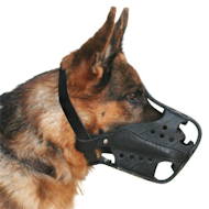 German Shepherd hard leather working muzzle