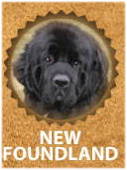 Newfoundland