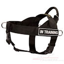Nylon dog harness