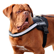 Nylon reflective multi-purpose dog harness for Dogue de Bordeaux Nylon reflective multi-purpose dog harness for Dogue de Bordeaux