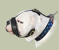Handpainted "American pride" dog collar for American Bulldog Handpainted "American pride" dog collar for American Bulldog
